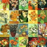 raymondcqk的个人资料头像