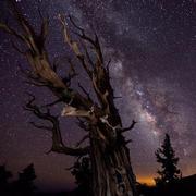 TellDong的个人资料头像