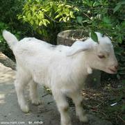 初心酱29627的个人资料头像