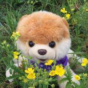 网络猎手的个人资料头像