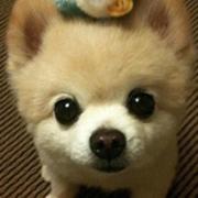 浅影的个人资料头像