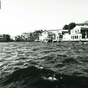 阿杜丶琛的个人资料头像