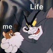 风吹那个杨柳_的个人资料头像