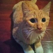 homerwh29985的个人资料头像