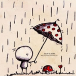 flyzend的个人资料头像