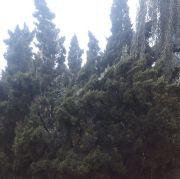 模拟数字电路2013的个人资料头像