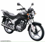 天天飞飞的个人资料头像