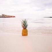 MichelleChe的个人资料头像