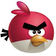 陈志辉同学30327的个人资料头像