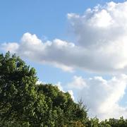 larry本尊30329的个人资料头像