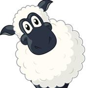 立早东的个人资料头像