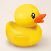 allenhxn的个人资料头像