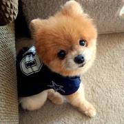 AToZ30370的个人资料头像