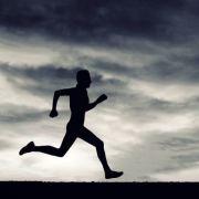 猪丶别咬我的个人资料头像