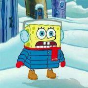 法郎币的个人资料头像