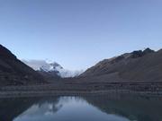 管的个人资料头像