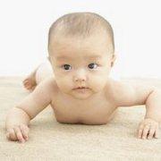 潘董不懂的个人资料头像