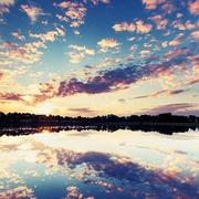 ZTFsmart的个人资料头像