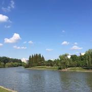 LPB的个人资料头像