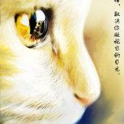 adventure030的个人资料头像