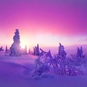 chaosrc的个人资料头像