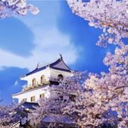 泽汕仔的个人资料头像