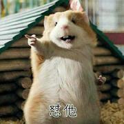 callmebetter的个人资料头像