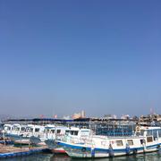 Rao爱学习的个人资料头像