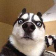 supermetony的个人资料头像