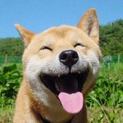 DongZhiChen的个人资料头像