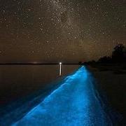 myhirra的个人资料头像