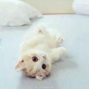 匆匆那年君31086的个人资料头像