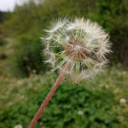 佛不语的个人资料头像