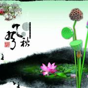 nicoun的个人资料头像