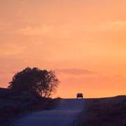 胥的个人资料头像