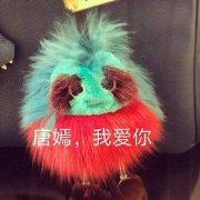 向阳花木二三的个人资料头像