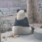 xue9122的个人资料头像