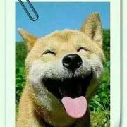 周末不通宵的个人资料头像