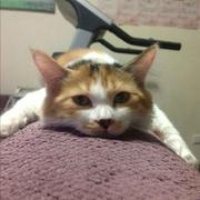 家航的个人资料头像