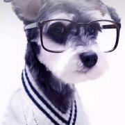 Sunshine_never_ends的个人资料头像