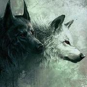 biandeshen的个人资料头像