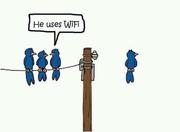 Tony君31628的个人资料头像