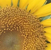 2236添的个人资料头像