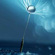 谢酱的个人资料头像