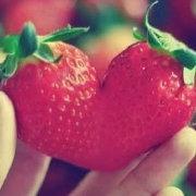 纯种女司机的个人资料头像