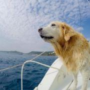 Steve_i潮的个人资料头像