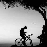 jiumi31784的个人资料头像