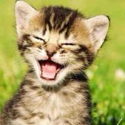 泥娲的个人资料头像