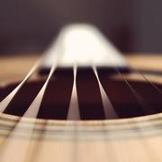 defbobo的个人资料头像