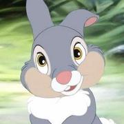 sweshixing的个人资料头像